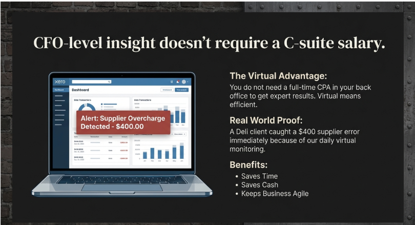 virtual accountant for small business