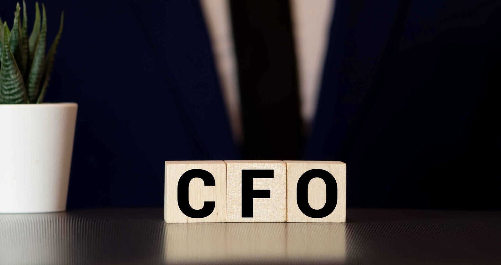 Virtual CFO services for scaling