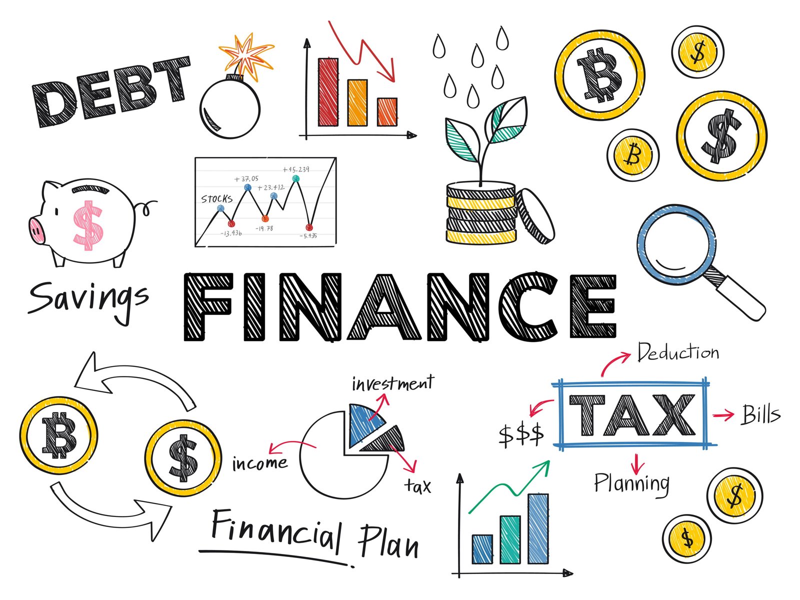 Cash Flow Management & Forecasting